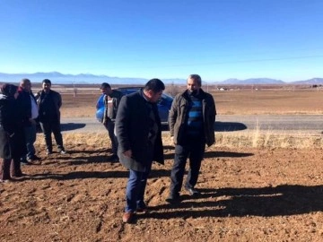 Konya'da geç ekime bağlı hububat ekili tarım alanlarında çimlenme başladı