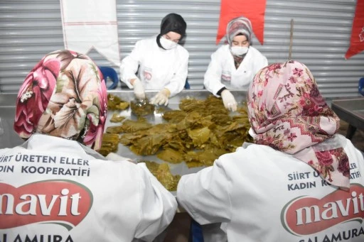 Kooperatiflere 1 Milyon TL'ye Kadar Hibe Desteği Başladı