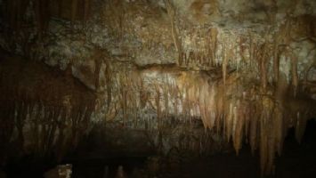 Küre Dağları Milli Parkı&#039;nda 5 mağara keşfedildi