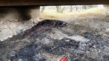 Kütahya&#039;da kablo hırsızı foto kapan sayesinde yakalandı