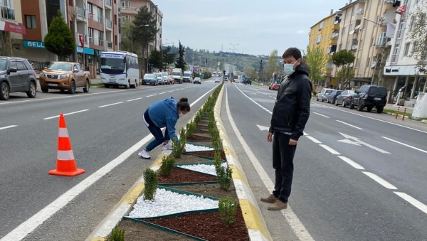 Lüleburgaz'da refüjlere estetik dokunuş