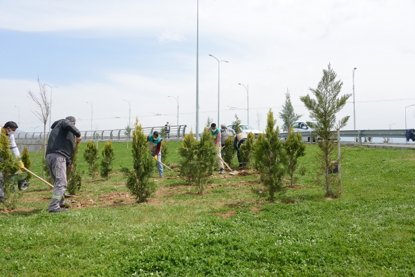 Malatya'da park ve refüjler yenileniyor