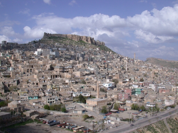 Mardin 1 haftadı 'su' isyanı