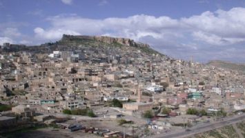 Mardin&#039;de Şubat ayı baharı andırıyor