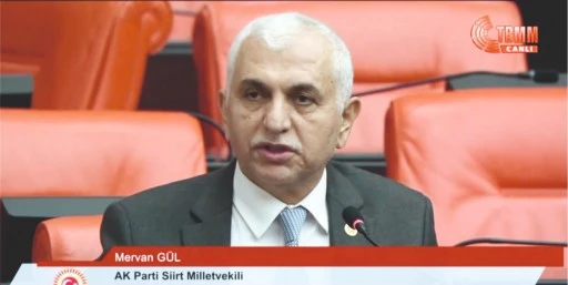 Mervan Gül: &quot;Siirt İçin Çalışmaya Devam Ediyoruz&quot;