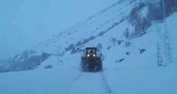 Meteoroloji'den Şırnak ve Siirt için kuvvetli kar yağışı uyarısı