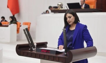 Milletvekili Sarıtaş, Siirt Belediyesinin Borçlarını TBMM'ye Taşıdı