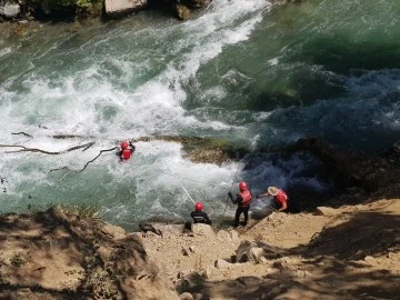 Müküs Çayı'na düşen hemşireye ulaşılmaya çalışılıyor