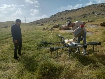 Pervari'de Dronlarla Yapılan Çekirge İlaçlama Çalışmaları Başarılı Sonuçlandı
