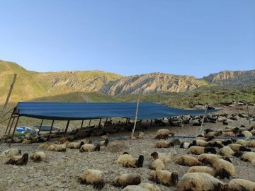 Siirt Şirvan İlçesi Kesmetaş Köyünde Mera Islah Projesi Hayata Geçiriliyor