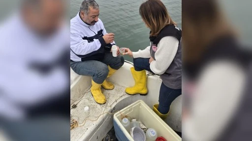 Ilısu Barajı'nda Trofik Durum Analizleri Yapılıyor
