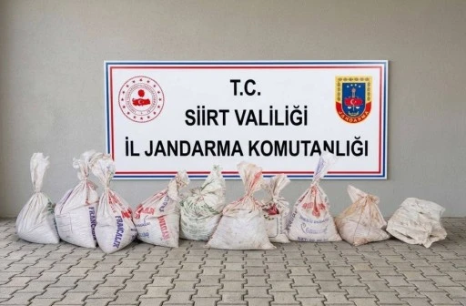 300 KİLO FISTIK &Ccedil;ALAN Ş&Uuml;PHELİLER SU&Ccedil;&Uuml;ST&Uuml; YAKALANDI