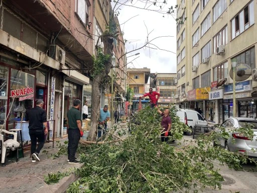 Siirt’te  Kuvvetli Rüzgârın Ardından Temizlik Ve Güvenlik Seferberliği