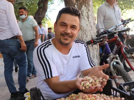 Yeşil altın tezgâha çıktı: Kilosu 800 TL