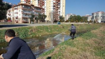 Nazilli&#039;de haşereyle mücadele başladı