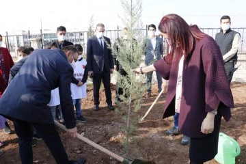 Öğretmenler için hatıra ormanı oluşturuldu