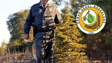 Orman Genel Müdürlüğü Siirt'te Görev Yapmak Üzere 2 Orman Mühendisi Alacak