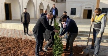 Osman Ören, Siirt Ağaç ve Tarım Müzesine İlk Ağacı Dikti