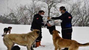 Osmangazi&#039;den Uludağ&#039;daki can dostlara yardım