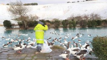 Pamukkale&#039;de bayat ekmekler çöp olmuyor