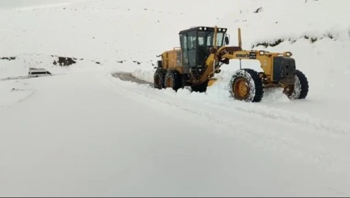 Pervari&rsquo;de Kar Yağışı Etkili Oldu