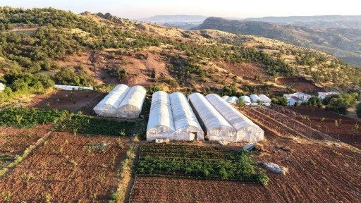 "Sera k&ouml;y&uuml;" modeli diğer k&ouml;ylere de yaygınlaştırılmalı