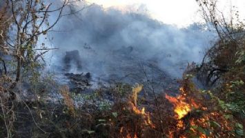 Rize&#039;de 2 ayrı bölgede orman yangını