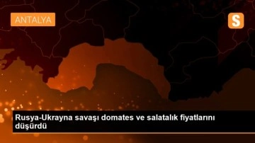 Rusya-Ukrayna savaşı domates ve salatalık fiyatlarını düşürdü