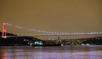 Rusya&rsquo;dan gelen tonlarca ayçiçeği yağı yüklü gemi İstanbul Boğazı&rsquo;na ulaştı