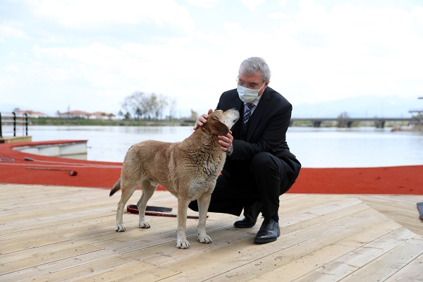 Sakarya Nehri kıyıları sosyal yaşamın yeni alternatifi olacak