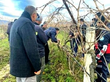 Sarıgöl'de bağ budama kursu açıldı