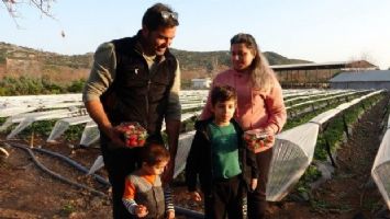 Şehir hayatından kaçıp çilek bahçesi kurdular