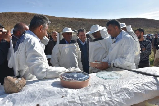 Siirt, Bal Üretiminde Türkiye'de İlk 5'e Girdi, Arılı Kovan Sayısında İlk 10'a Yükseldi