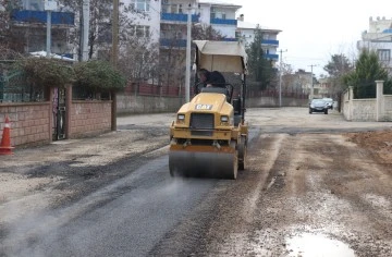 Siirt Belediyesi, Asfalt Ve Yama Çalışmalarını Hız Kesmeden Sürdürüyor