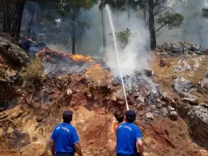 Siirt belediyesi itfaiye ekipleri, Manavgat'taki yangına müdahalede bulundu