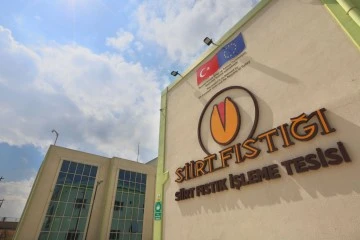 SİİRT FISTIĞI İŞLEME YAŞ FISTIK ALIMINA BAŞLADI