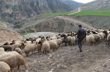 Siirt Göçerleri Yaylada Yaşamlarını Sürdürüyor