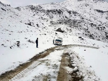 Siirt'in Pervari ilçesinde, kar yağışı nedeniyle köy yolunda mahsur kalan araçlar kurtarıldı