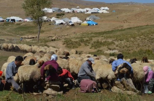 Siirt'in Yaylalarında G&ouml;&ccedil;ebe Mesaisi Başladı