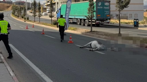 Siirt Kurtalan Caddesi&rsquo;nde Pikap Eşeğe &Ccedil;arptı: Eşek Telef Oldu