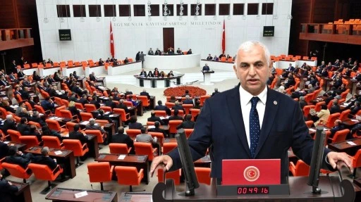 Siirt Milletvekili Mervan Gül, Asfalt Plenti Projesini TBMM’de Tanıttı