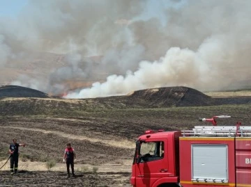 Siirt'te 100 ton buğday yangında kül oldu