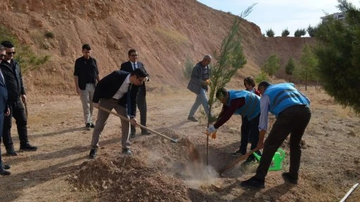 Siirt&rsquo;te 11 Kasım Milli Ağa&ccedil;landırma G&uuml;n&uuml;&rsquo;nde Fidanlar Toprakla Buluştu