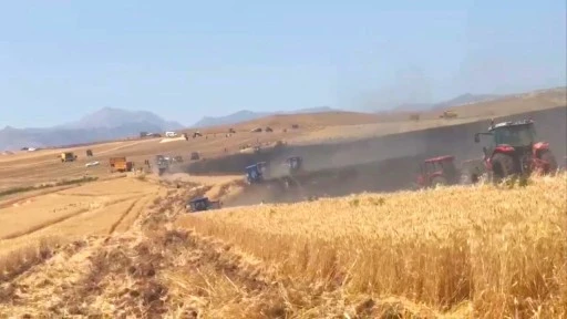 Siirt'te 350 Dönümlük Buğday Tarlası Yandı