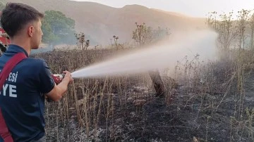 Siirt'te 65 dönüm buğday ekili alan yandı