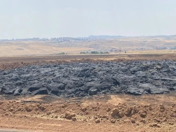 Siirt’te Anız Yangını Çıkan Alanlarda Hasar Tespit Çalışmaları Tamamlandı