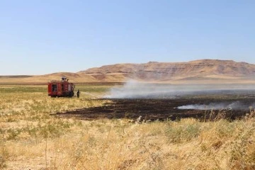 Siirt'te anız yangını son andan kontrol altında