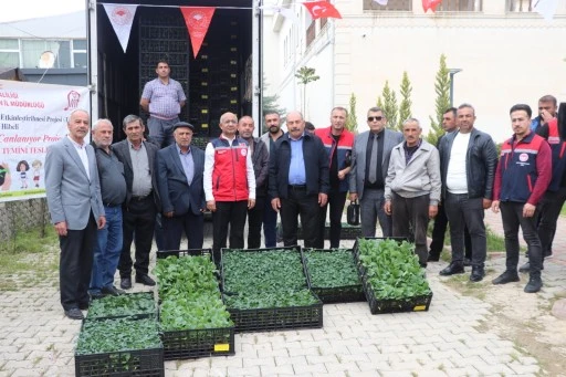 Siirt'te &ccedil;ift&ccedil;ilere 60 bin 264 sebze fidesi dağıtıldı