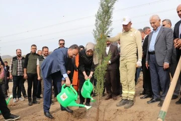 Siirt’te Cumhuriyetimizin 100'üncü Yılında Binlerce Fidan Toprakla Buluşturuldu