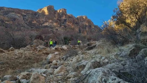 Siirt'te Dağlık Alanda Mahsur Kalan Keçi Kurtarıldı